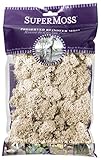 SuperMoss (21702) Reindeer Moss Preserved, Natural, 2oz