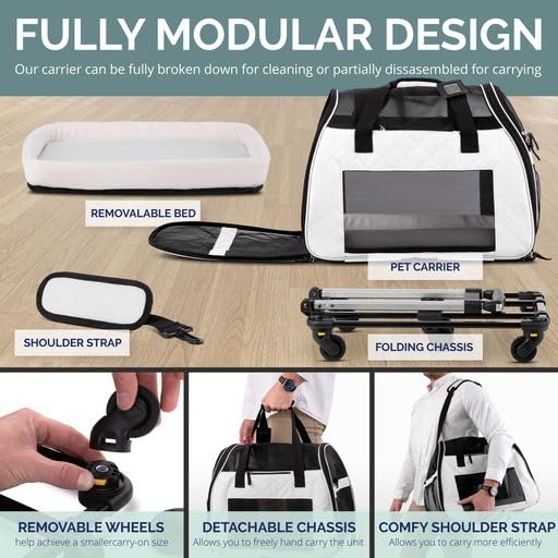 Rolling Cat Carrier with on Wheels, Small Dog Pet Car Travel Carrier Collapsible Bag with Rollers Wheels, Carrier for Cats Under 20 LBS/Dog Puppy Under 20 LBS (Large Size, Not for Airplane)