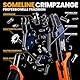 SOMELINE Crimpzangen Set, 6 Arten [0,25-2,5mm²] Flachsteckhülsen Set, Flachsteckhülsenzange, Spade Steckverbinder Krimpzange, Crimpzangen Tool, Crimp Zange, Crimpwerkzeug, Crimp Tool, Presszange