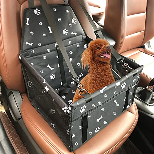 How to transport puppy in car How to transport puppy in car