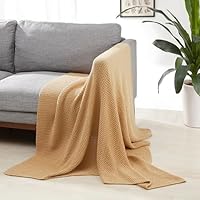 エルノア　ビッグブランケット L.L.Bean付録】ふんわり気持ちいいBIGサイズのブランケットは“お