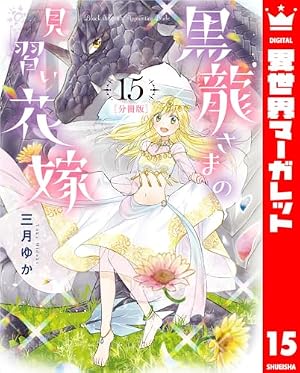 美品 黒龍さまの見習い花嫁 1〜11巻 美品 黒龍さまの見習い花嫁 1〜11巻
