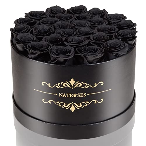 NATROSES Gifts for Her 27 Piece Forever Preserved Roses in a Box, Preserved Flowers for Delivery Birthday, Flowers Gifts for Mothers Day, Black