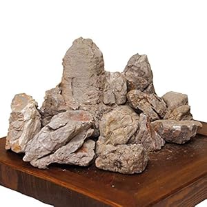 Amtra Roccia Luohan, Grey, M