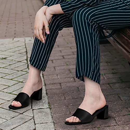 Pizz Annu Women's Square Open Toe Heels Sandals Low Block Chunky Heeled Sandal Slip On Mules Comfortable Casual Dress Pumps Shoes, Black 9 #TOP4