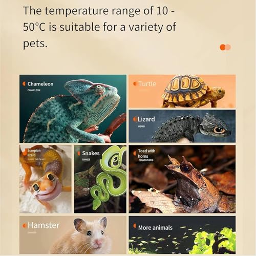 Reptilien-Heizmatte, 5 W-220 W, wasserdicht, Reptilien-Heizkissen unter dem Tank-Terrarium mit Temperaturkontrolle, sicherheitsverstellbare Reptilien-Heizmatte für Schildkröte, Schildkröte, Schlangen