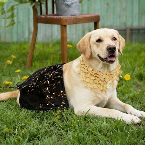Disfraz de bailarina de vientre para perro mediano y grande miniatura 2
