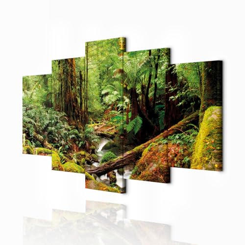 decomonkey Cuadro Lienzo Bosque 150x75 cm 5 piezas Impresión Decoración Cuadro De Pared Material Tejido no Tejido Gráfica Foto Salon Naturaleza Cascada