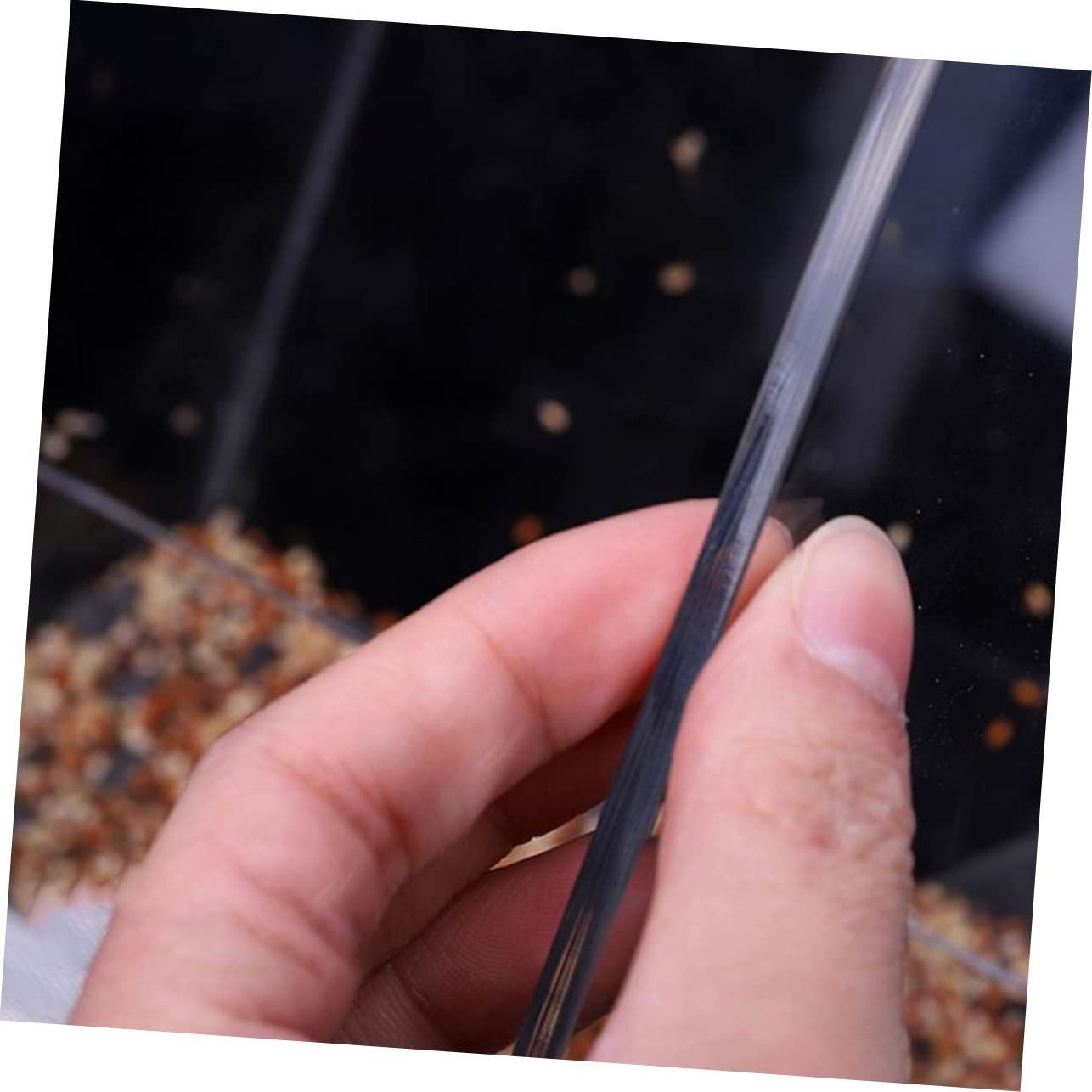 COLLBATH Mangiatoia per Uccelli Selvatici Vassoio Profondo Tazze Acrilico Trasparente Resistente Divisorio per Cibo di Drenaggio Facile da Pulire e Riempire