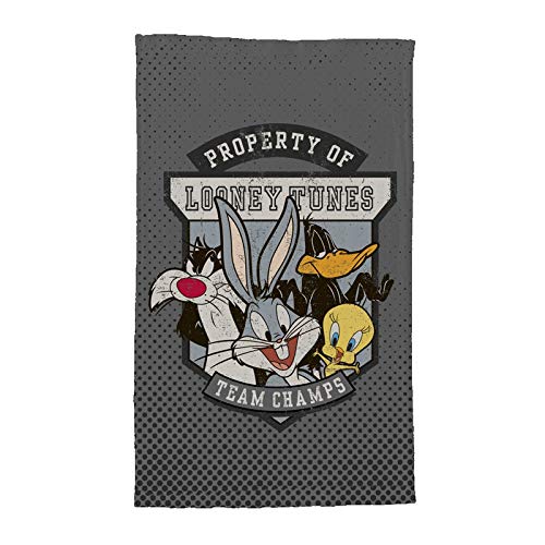 Pano de Prato Looney Tunes Team Champs Fundo Cinza em Algodão - 29x18 cm