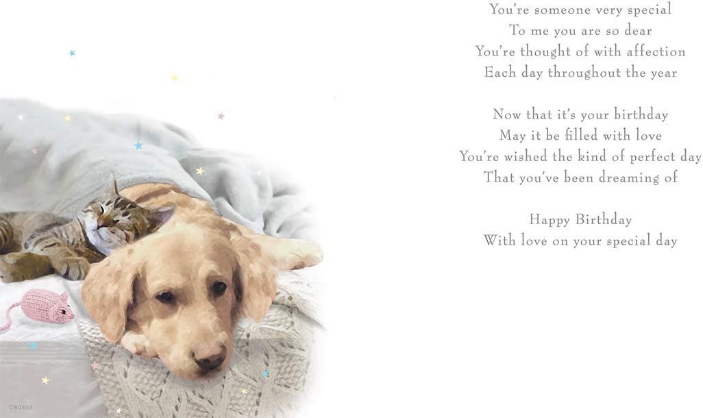 Piccadilly Greetings Someone Special Birthday Card***Golden Labrador Retriever Dog with CAT***9 X 6 INCHES***1AD7**,brown|white|orange|beige