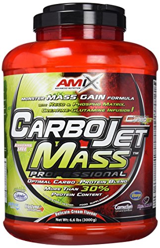 AMIX - Complemento Alimenticio - Carbojet Mass Professional - Carbohidratos y Proteínas para Aumentar la Masa Muscular - Concentrado Proteína de Suero - Recuperador Muscular - Sabor Chocolate - 3 KG