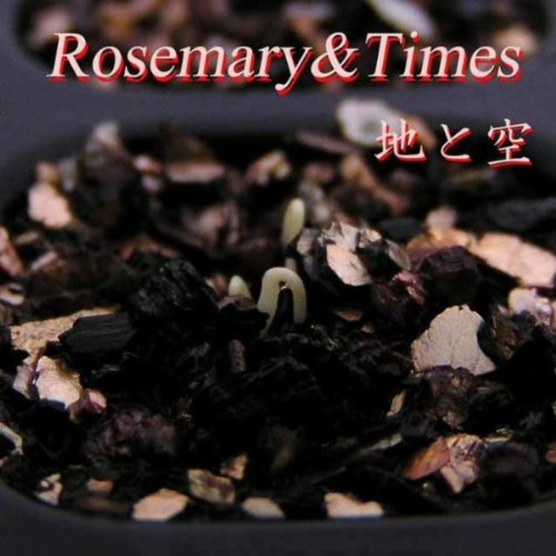 Amazon Music Rosemary Timesの元気にしてる Amazon Co Jp