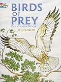 Birds of Prey Coloring Book