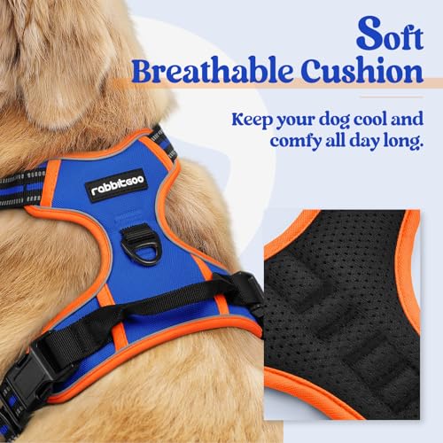 Image of rabbitgoo Dog Harness No Pull with 2 Leash Clips, Adjustable Soft Padded, Reflective Oxford No Choke Pet Vest with Easy Control Handle for Medium Sized Dogs, Blue & Orange, M