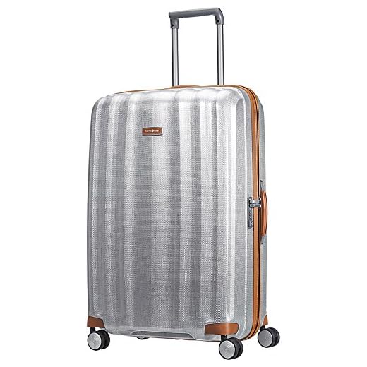 Samsonite Black Label Lite Cube DLX 20" Hardside Spinner (One Size, Aluminium)