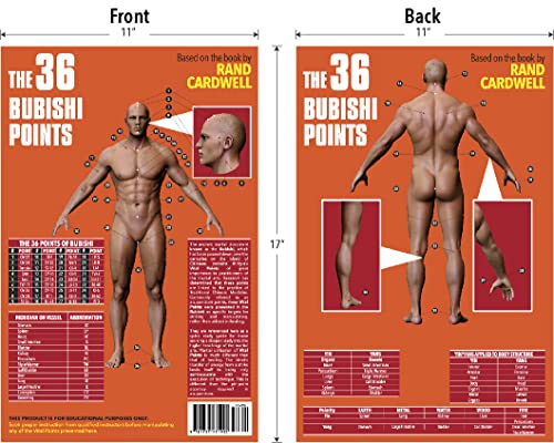The 36 Bubishi Points, Pressure Points, Vital Points, Martial Arts, 8.5X11 Folded Or 11X17 Unfolded #TOP3
