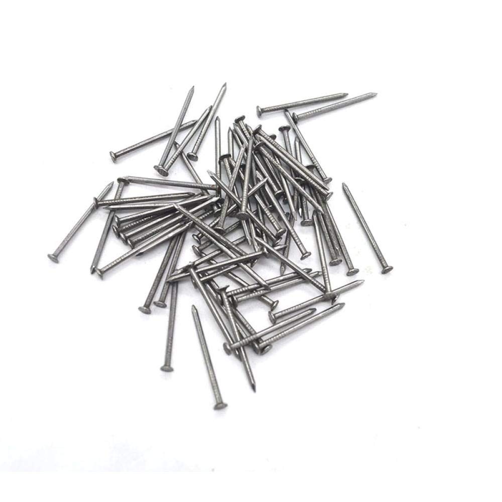 Clous en acier pour brique paquet de 100g de petits clous en fer de 2.5 cm