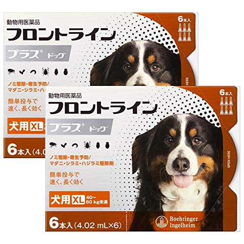 非常に高い品質 A 送料無料 フロントラインプラス犬用 Xl 40 60kg 2箱セット 動物用医薬品 ノミ ダニ シラミ駆除 1箱6本入 犬用 Williamsav Com