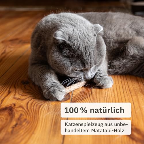 Inovida Matatabi Stick Katze : 8 Matatabi Sticks für Katzen Zahnpflege – Katzenspielzeug Holz gegen Mundgeruch – Natürliches Katzenminze Spielzeug für Katzen – Cat Sticks