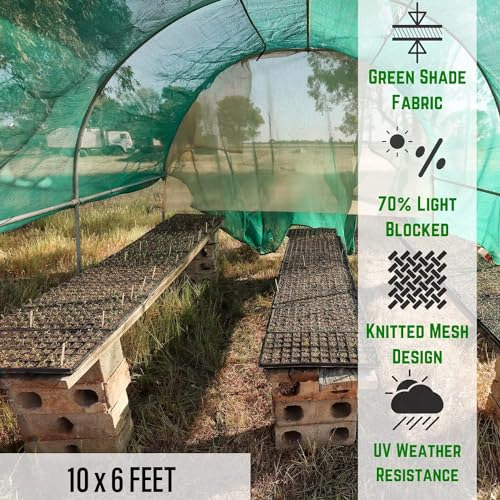 Image of Heart Home Green Shade Net|UV Resistant Sun Mesh Shade|Net /for Balcony, Garden, Lawn (10 x 6 FEET)