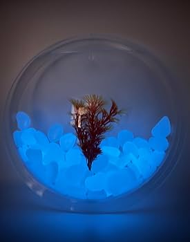 謎の石 構造石 | 叙景 jokei