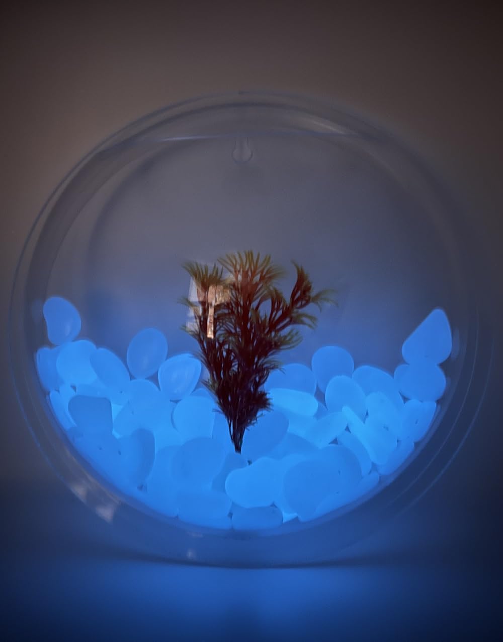 アマゾンナイトのトカゲ 天然石 パワーストーン 彫刻 激レア 希少