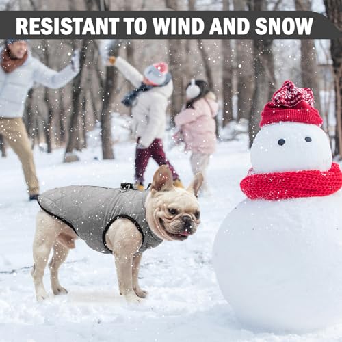 Image of SCENEREAL Winter Dog Vest Coat with Harness Built in