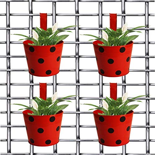 4 POTS Bingo POTS Round Dotted Railing PLANTERS Red Amazon.in
