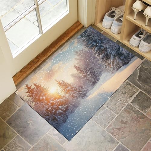 Felpudo Bosque al Atardecer de 50x80cm, alfombra de entrada lavable y antideslizante 4