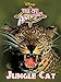 Jungle Cat