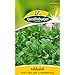 Produktbild Quedlinburger Feldsalat 'Dunkelgrüner vollherziger 2', 1 Tüte Samen