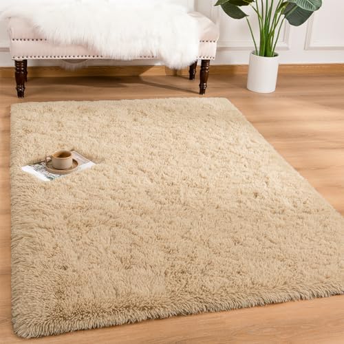 Andecor Soft Fluffy Bedroom Rugs, 3 x 5 Feet Indoor