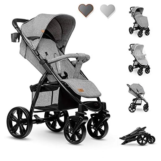 Lionelo Annet Silla de Paseo 58 x 86,5 x 110 cm Para niños hasta 22 kg 0-48M Ajuste del respaldo hasta posición horizontal Capucha XXL Plegable fácil con ventana Mosquitera Concrete