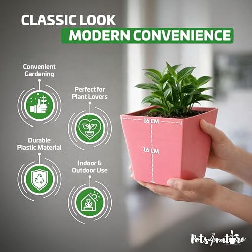 Image of POTS4NATURE Square Pots for Plants | Lightweight Plastic Flower Pot for Indoor & Outdoor Home /Office /Table /Garden /Balcony Decoration | Terracotta Color | 6 Inches (Pack of 6)