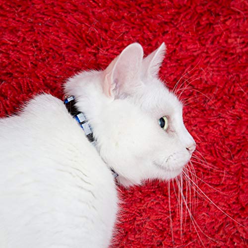 Reflective Cat Collar with Bell, Set of 6, Solid & Safe Collars for Cats, Nylon, Mixed Colors, Pet Collar, Breakaway Cat Collar, Pink