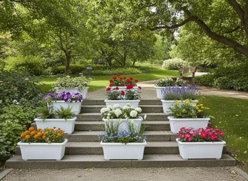 Image of Bianco Rectangular Plastic Pots for Plants, Jupiter Flower Pots for Home, Window Display, Garden (35 x 18.5 x 15 cm) (White) (Pack of 12)