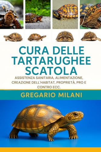 CURA DELLE TARTARUGHE LEOPARDO COME ANIMALI DOMESTICI: UNA GUIDA COMPLETA AL LORO HABITAT, ALIMENTAZIONE, PROPRIETA E ALTRO ANCO