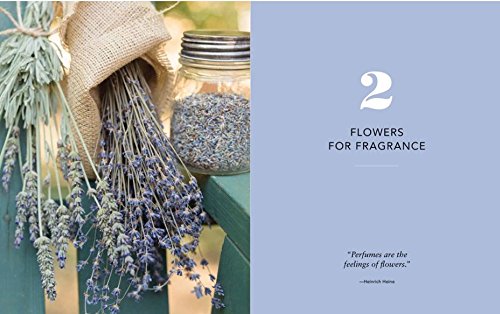 Growing Heirloom Flowers: Bring The Vintage Beauty Of Heritage Blooms To Your Modern Garden #TOP3