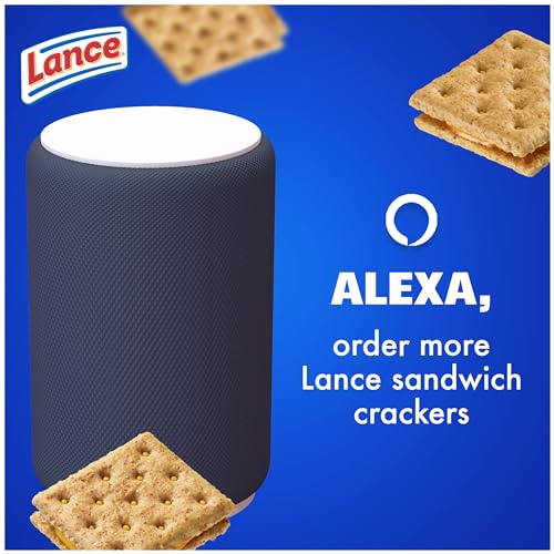 Lance Sandwich Crackers, Made with Whole Grain Crackers, Cheddar Cheese, 10 Packs, 6 Sandwiches Each - 9
