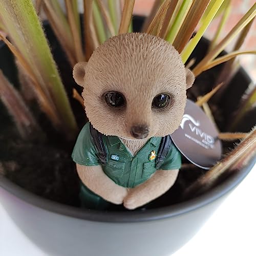Suricate paramédicale Vivid Arts PLP-153 statue de jardin en résine - 8
