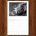 Ansel Adams 2026 Wall Calendar: Authorized Edition (Monthly Calendar)