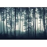 Wall26 - Landscape Mural of a Misty Forest - Wall Mural, Removable Sticker, Home Decor - 100x144 inches