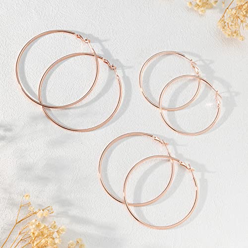 Image of DAILY VIBES Simple Big Thin Hoop Earrings for Women Trendy, 3 Pairs | 925 Sterling Silver Post Large Hoops, 14K Gold or Silver Plated Loop, Hypoallergenic Hoop Earrings Set