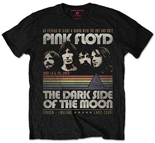 Pink Floyd Dark Side of The Moon Stripe Prism