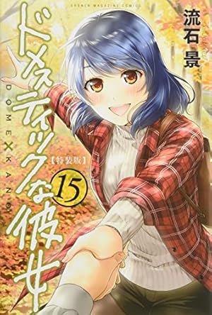 ドメスティックな彼女(28)特装版 (プレミアムKC) | 流石 景 |本 | 通販