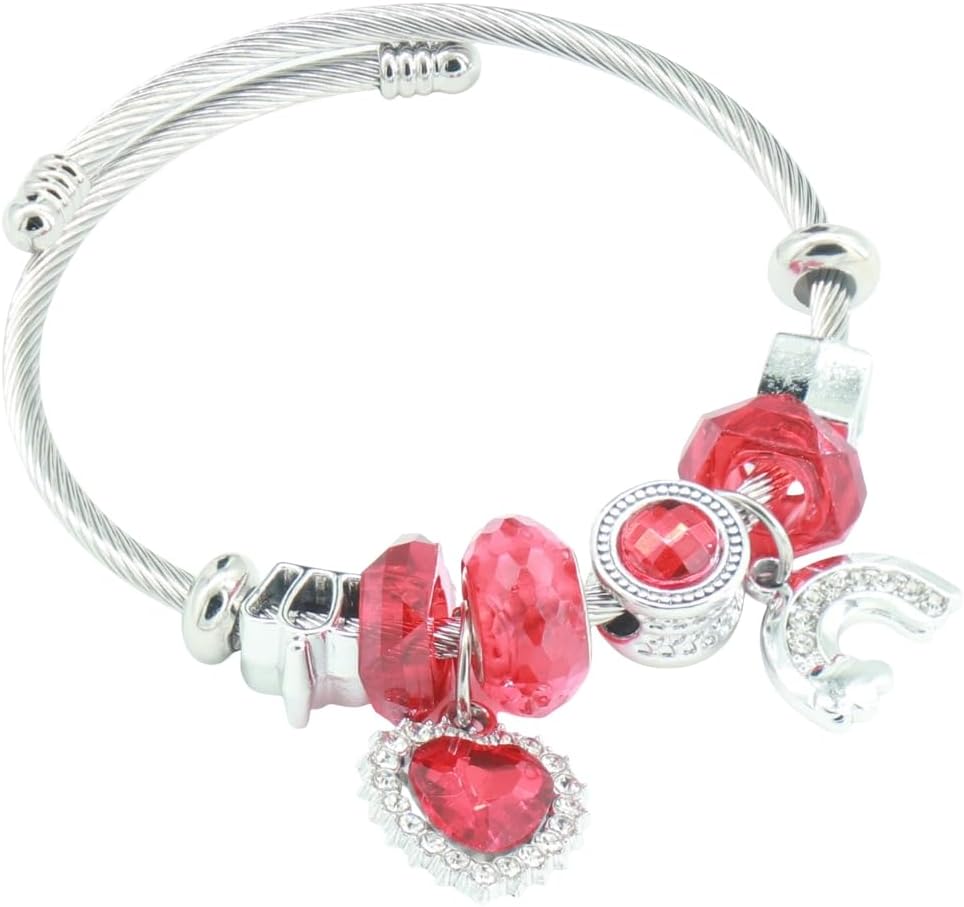 Twisted Cable Bracelet with Red Crystals and Charms, Silver Tone