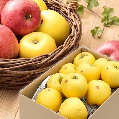 青森県産 ご家庭用 りんご シナノゴールド 5kg (訳あり/13玉〜23玉入り/常温品) 旬 リンゴ 林檎 山形 産地直送 果物 フルーツ お取り寄せ
