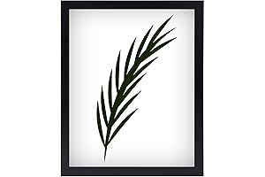 NAOKBOEE 7 x 9 Picture Frames