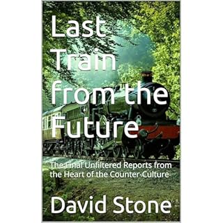 Last Train from the Future Audiobook By David Stone cover art
